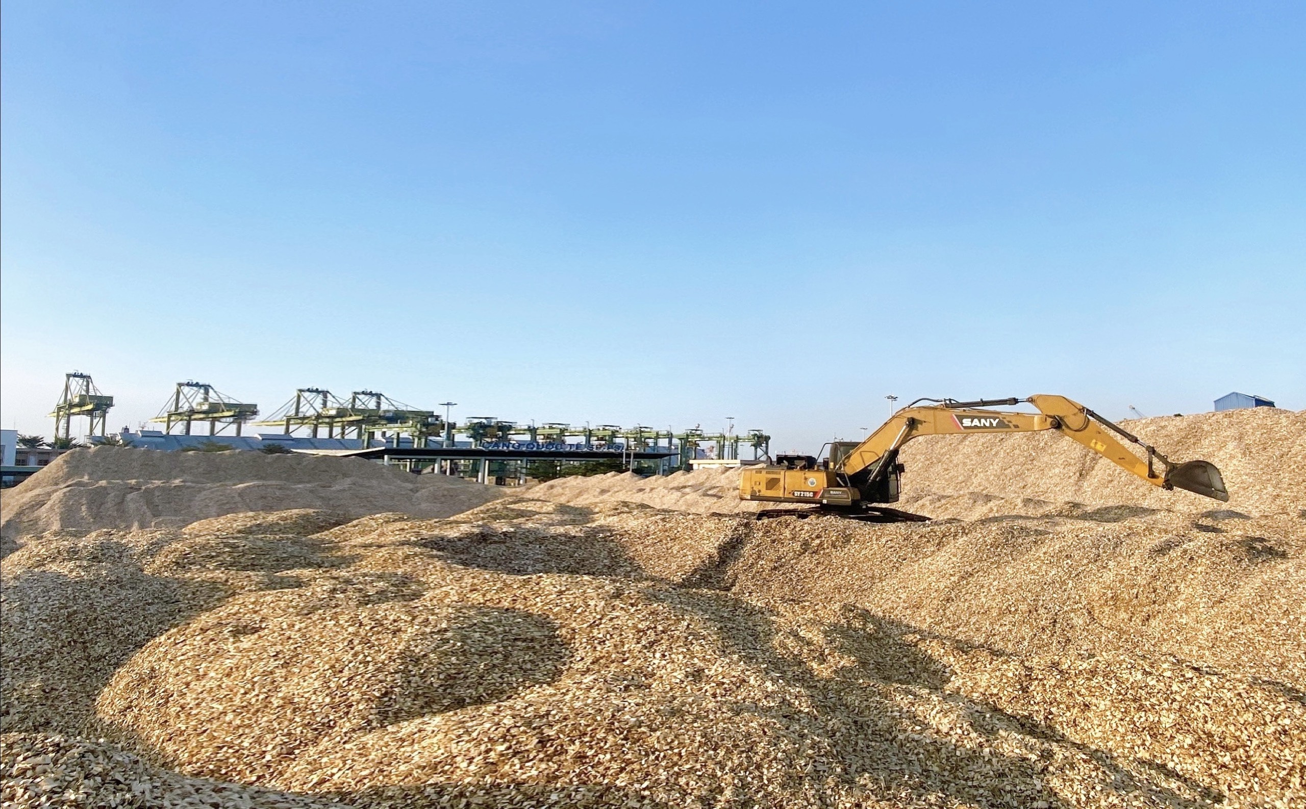 Xuất khẩu dăm gỗ